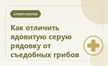 Серая рядовка и её ядовитые двойники: тематическая иллюстрация