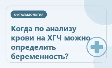 Тематическая иллюстрация: Когда по анализу крови на ХГЧ можно определить беременность?