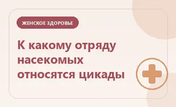 Тематическая иллюстрация: К какому отряду насекомых относятся цикады