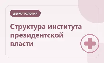 Тематическая иллюстрация: Структура института президентской власти