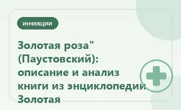 Тематическая иллюстрация: Золотая роза" (Паустовский): описание и анализ книги из энциклопедии Золотая