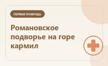 Тематическая иллюстрация: Романовское подворье на горе кармил