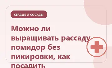 Тематическая иллюстрация: Можно ли выращивать рассаду помидор без пикировки, как посадить
