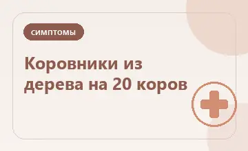 Тематическая иллюстрация: Коровники из дерева на 20 коров