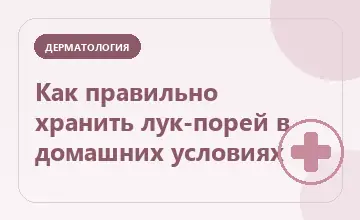 Тематическая иллюстрация: Как правильно хранить лук-порей в домашних условиях