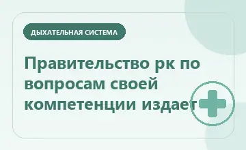 Тематическая иллюстрация: Правительство рк по вопросам своей компетенции издает