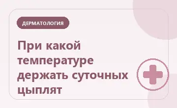 Тематическая иллюстрация: При какой температуре держать суточных цыплят
