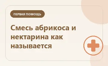 Тематическая иллюстрация: Смесь абрикоса и нектарина как называется