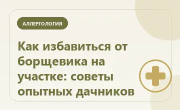 Тематическая иллюстрация: Как избавиться от борщевика на участке: советы опытных дачников