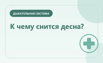 Тематическая иллюстрация: К чему снится десна?
