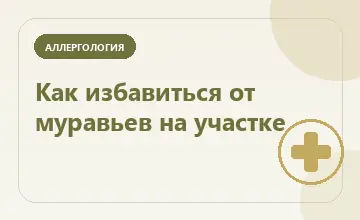 Тематическая иллюстрация: Как избавиться от муравьев на участке