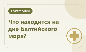 Тематическая иллюстрация: Что находится на дне Балтийского моря?