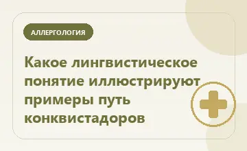 Тематическая иллюстрация: Какое лингвистическое понятие иллюстрируют примеры путь конквистадоров