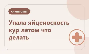 Тематическая иллюстрация: Упала яйценоскость кур летом что делать