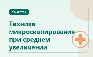 Тематическая иллюстрация: Техника микроскопирования при среднем увеличении