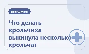 Тематическая иллюстрация: Что делать крольчиха выкинула несколько крольчат
