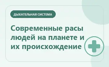Тематическая иллюстрация: Современные расы людей на планете и их происхождение