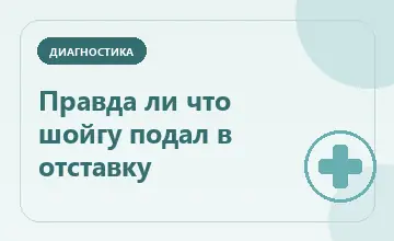 Тематическая иллюстрация: Правда ли что шойгу подал в отставку