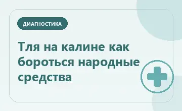 Тематическая иллюстрация: Тля на калине как бороться народные средства