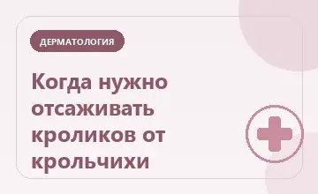 Тематическая иллюстрация: Когда нужно отсаживать кроликов от крольчихи