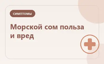 Тематическая иллюстрация: Морской сом польза и вред