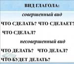 Обозначения действий - глаголы Что будет делать глаголы
